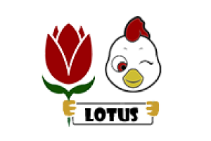 Lotus
